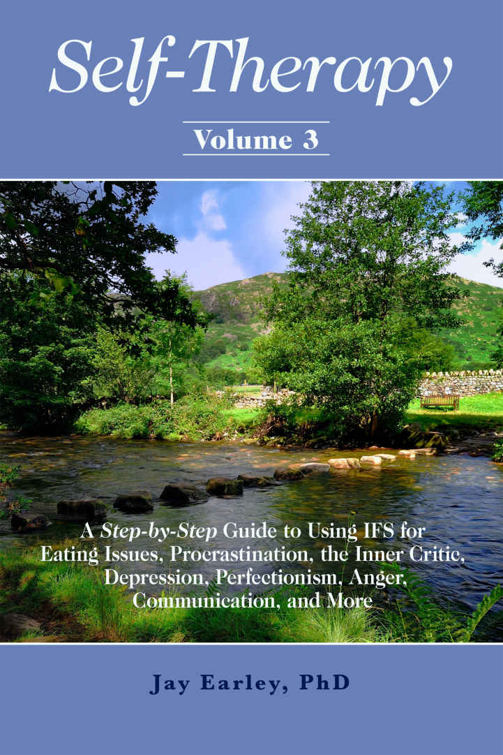 Self-Therapy, Vol. 3: A Step-By-Step Guide to Using IFS for Eating Issues, Procrastination, the Inner Critic, Depression, Perfectionism, Anger, Communication, and More