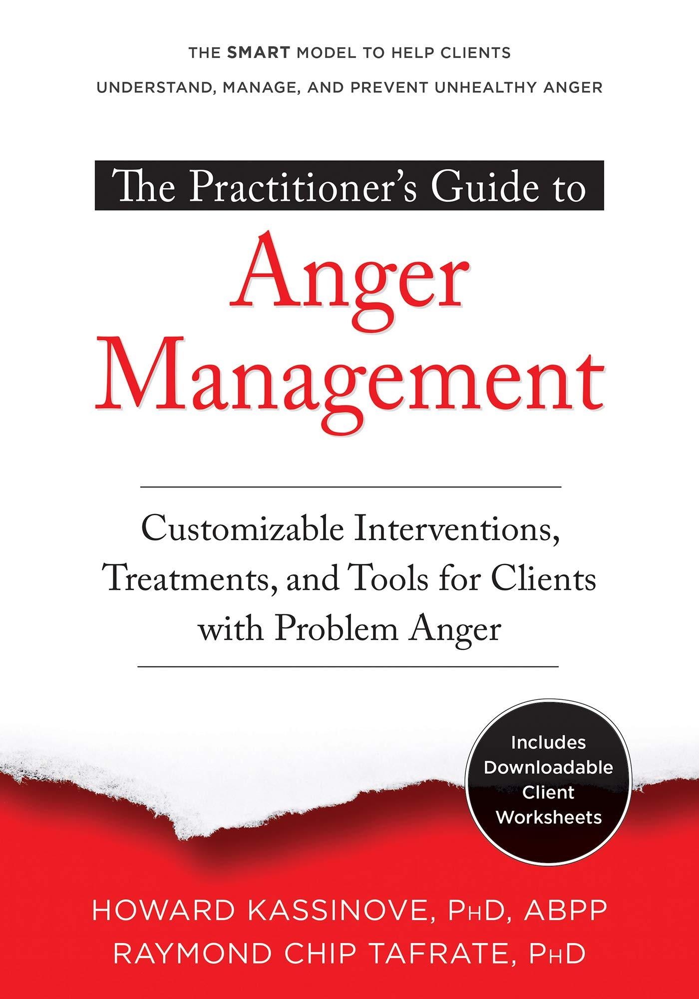 The Practitioner's Guide to Anger Management: Customizable Interventions, Treatments, and Tools for Clients With Problem Anger