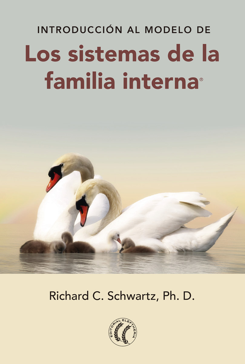 Introducción Al Modelo De Los Sistemas De La Familia Interna