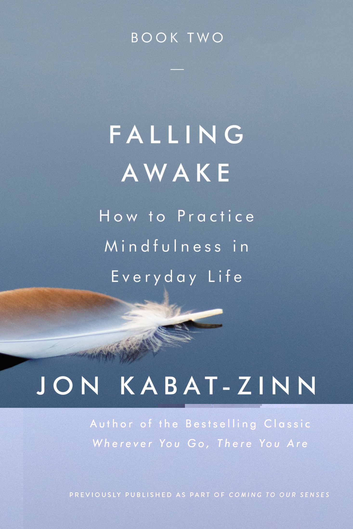 Falling Awake: How to Practice Mindfulness in Everyday Life
